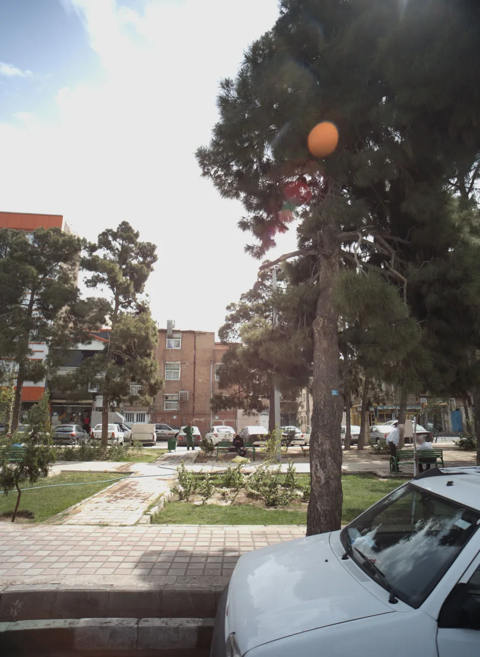 نان سنگکی
