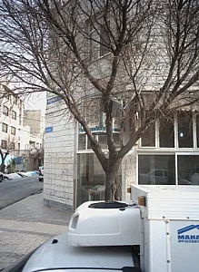 نانوایی