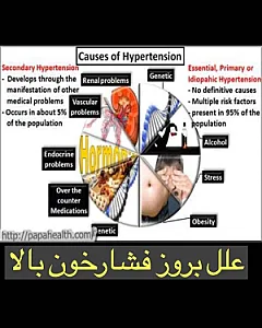 دکتر فرناز برزی