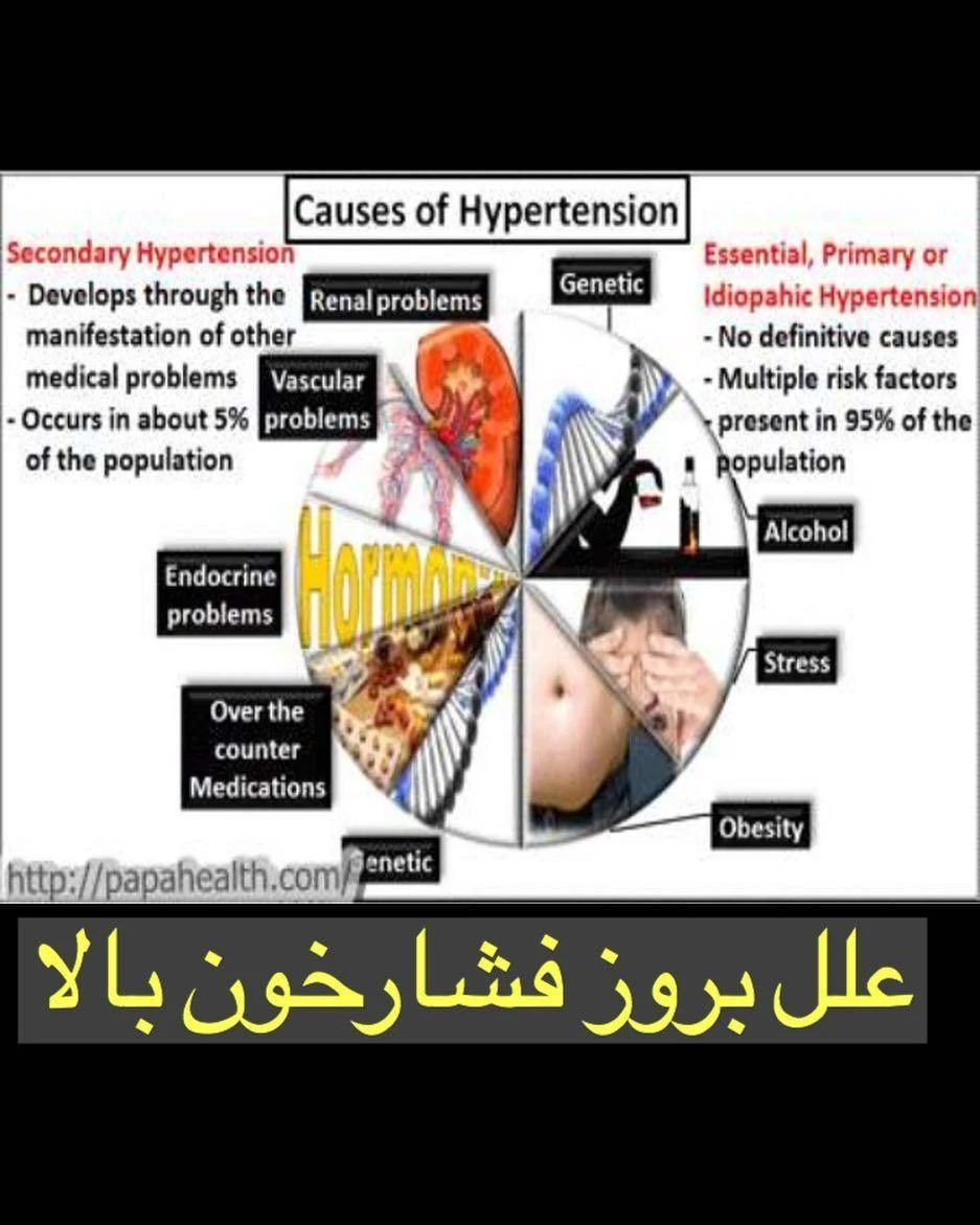 دکتر فرناز برزی - متخصص داخلی در ارومیه