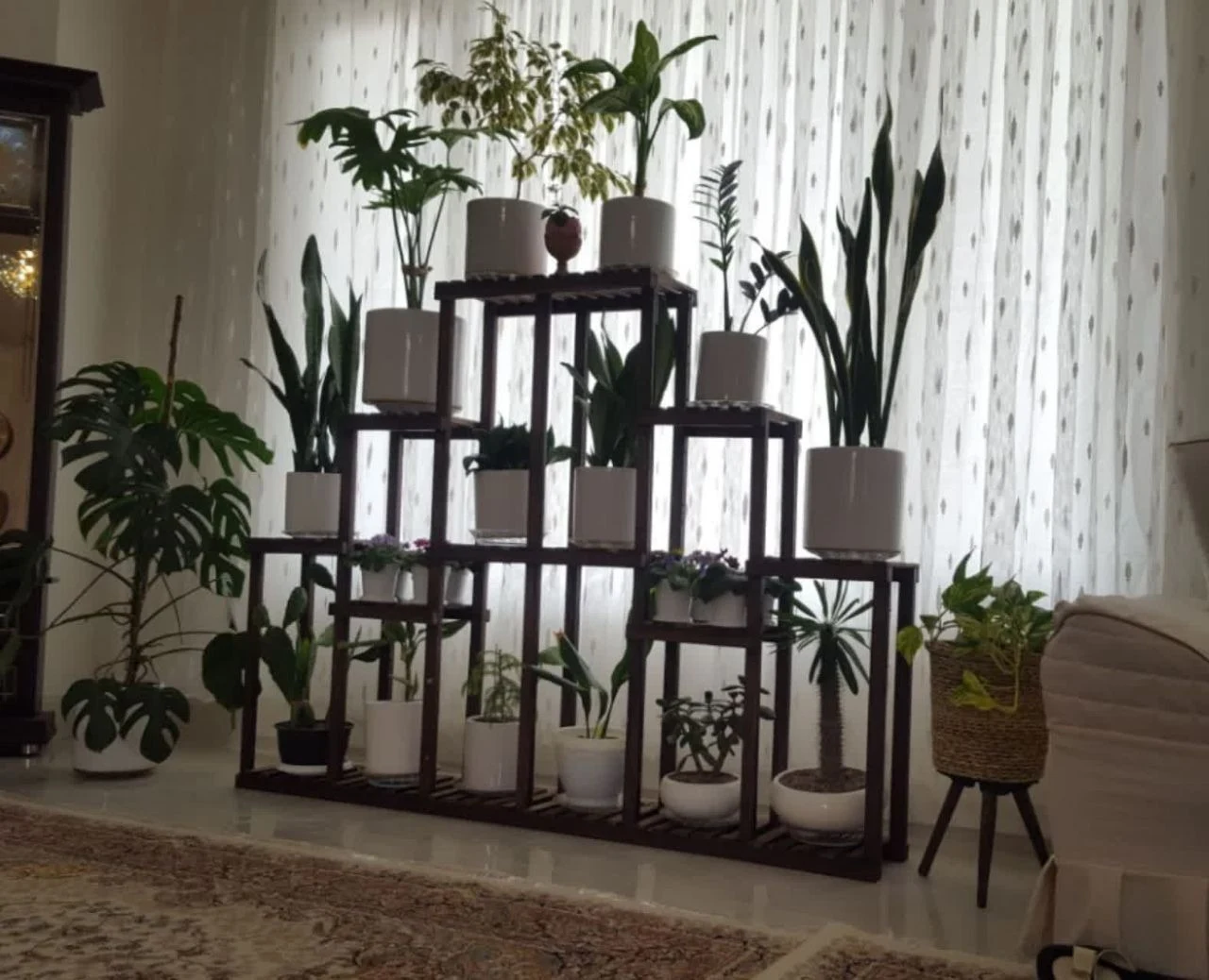 تولیدی استند چوبی میلاد ارومیه