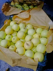 بارفروشی واحدی