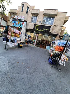 کیف و کفش بزرگ هامون