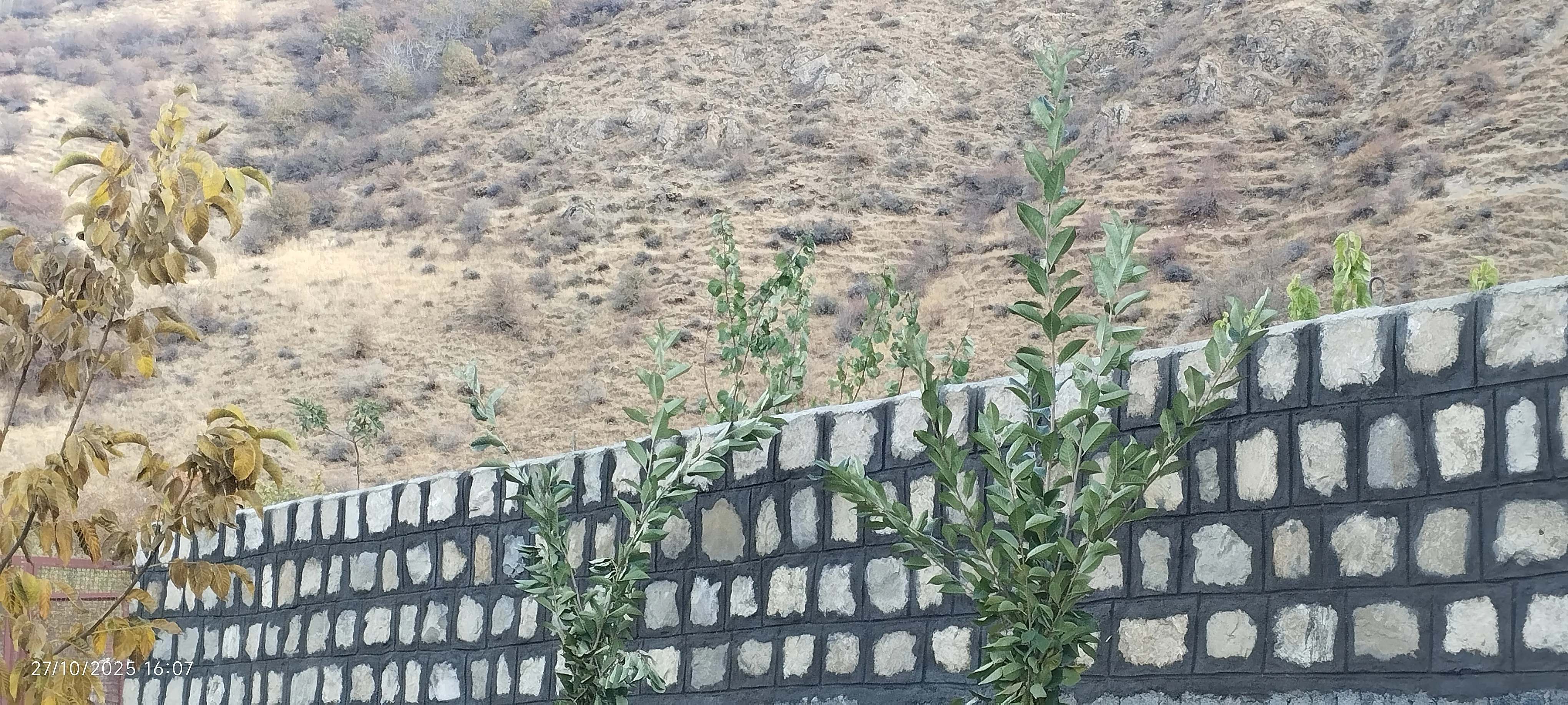 پیمانکاری سنگ مالون لاشه کریمی منش - تصویر 4