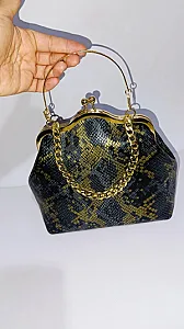 کیف مجلسی