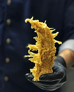 سوخاری های چیکن