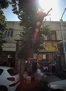 نان تافتون سنتی نور بخش
