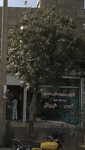 نانوایی بربری سنتی محمدی