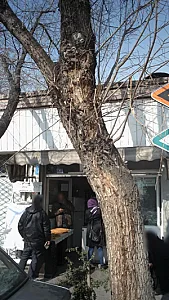 نانوایی بربری