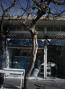 نان لواش گل گندم