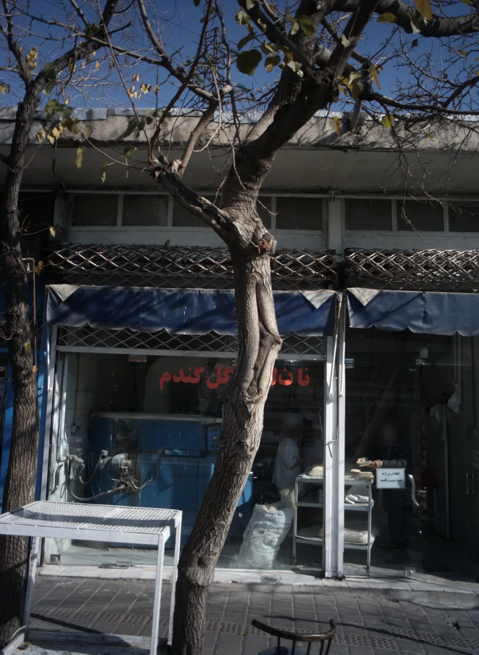 نان لواش گل گندم