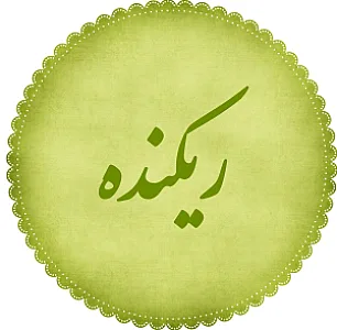 شرکت طراحی سایت ساری