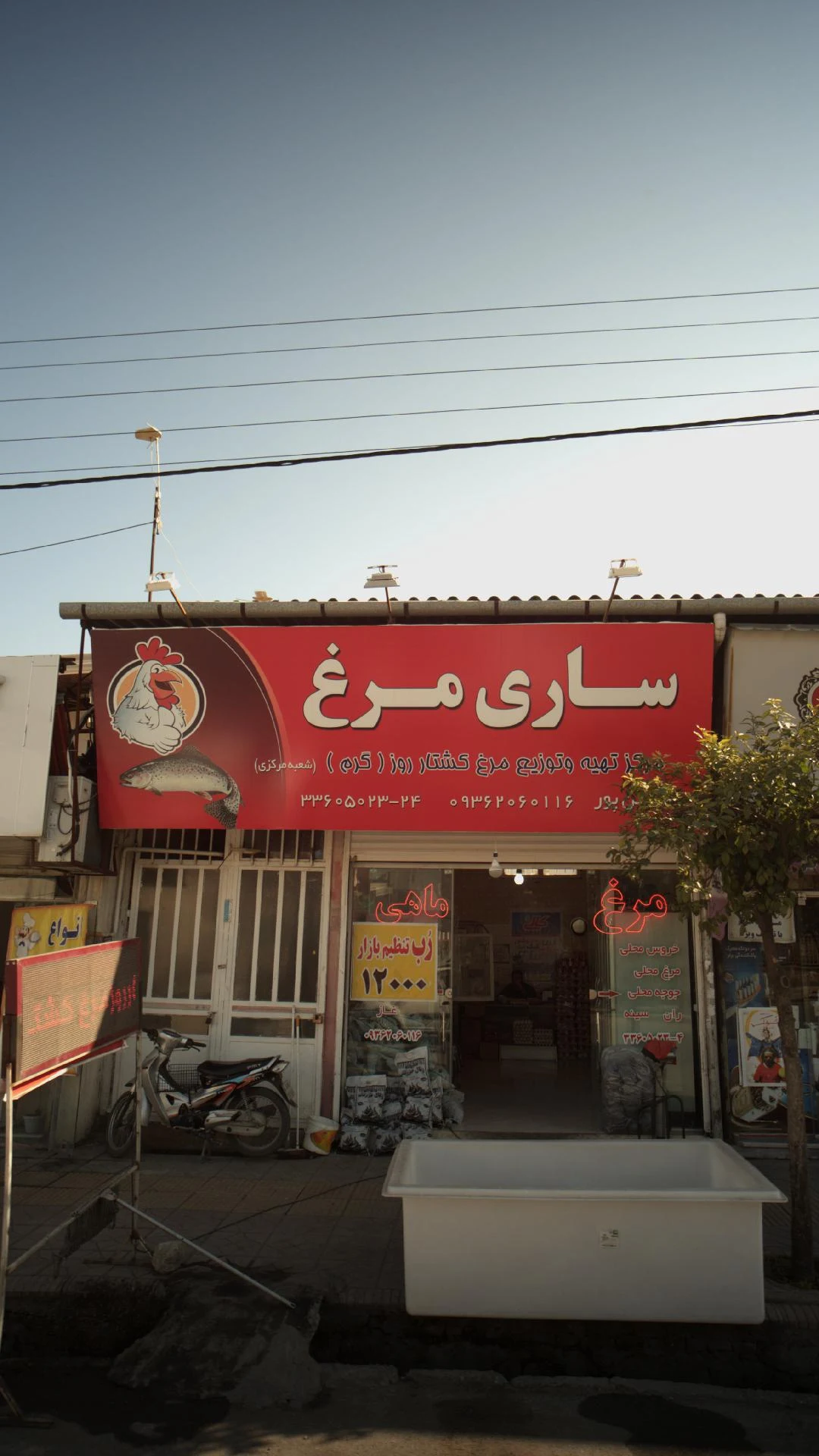 فروشگاه ساری مرغ