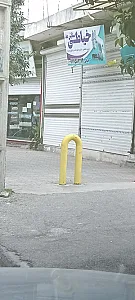 دوزندگی علوی