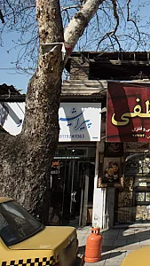 پیرایش پاسارگاد