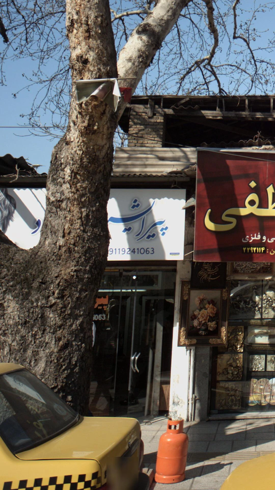 پیرایش پاسارگاد