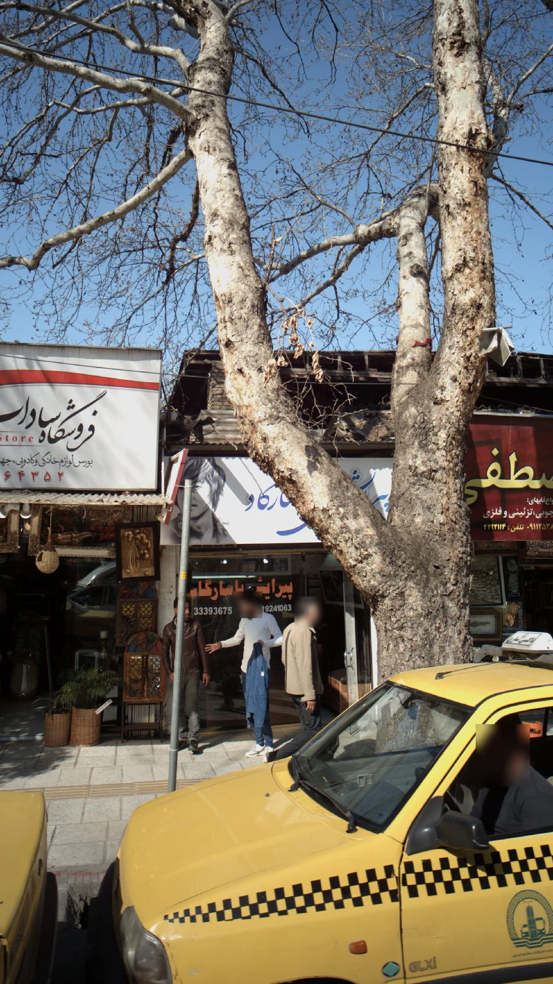 پیرایش پاسارگاد - تصویر 2