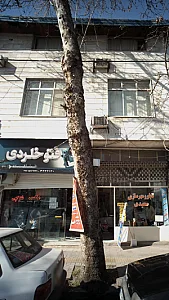 فتو خلردی