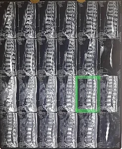 دکتر سعید احتشامی