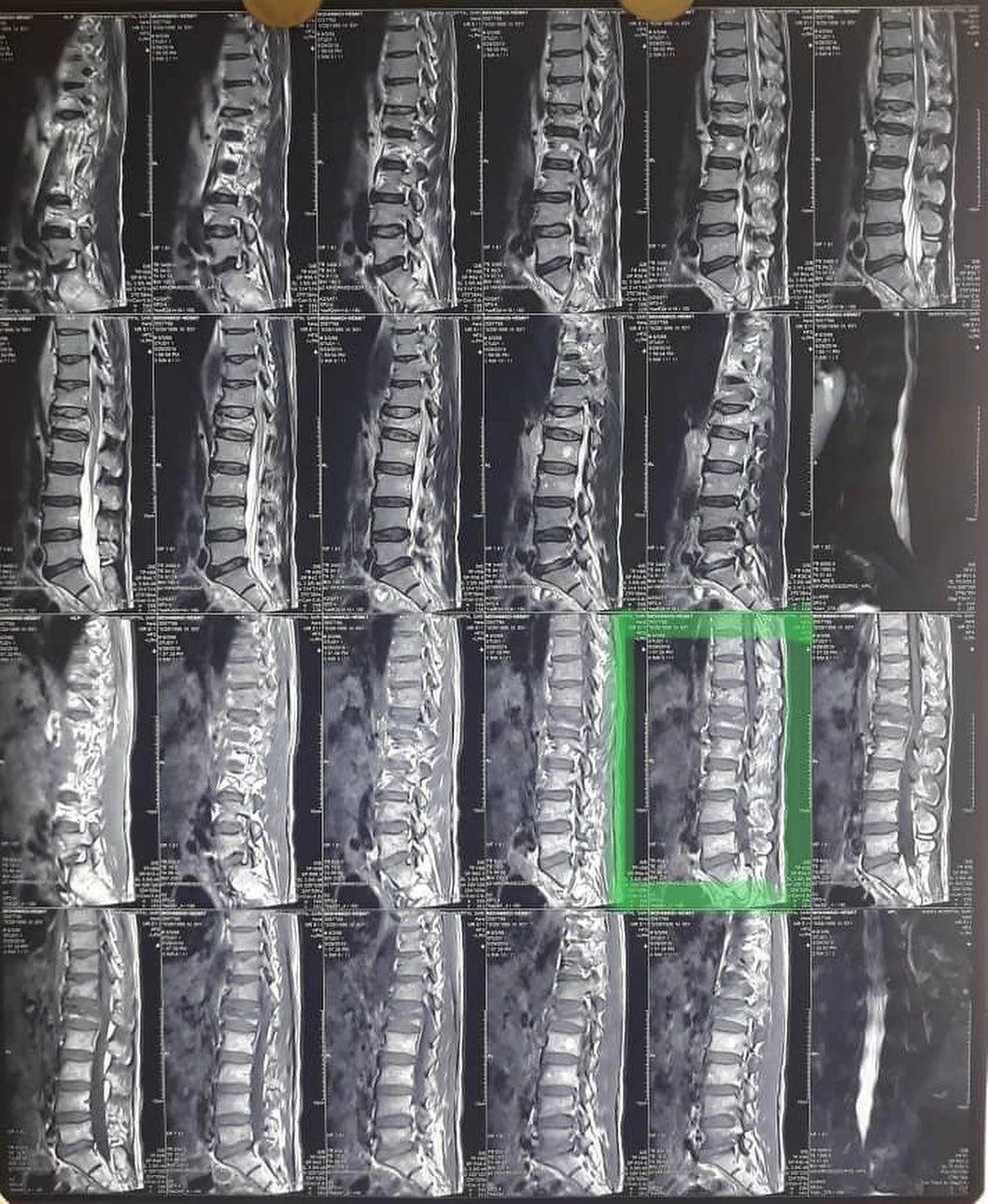 دکتر سعید احتشامی