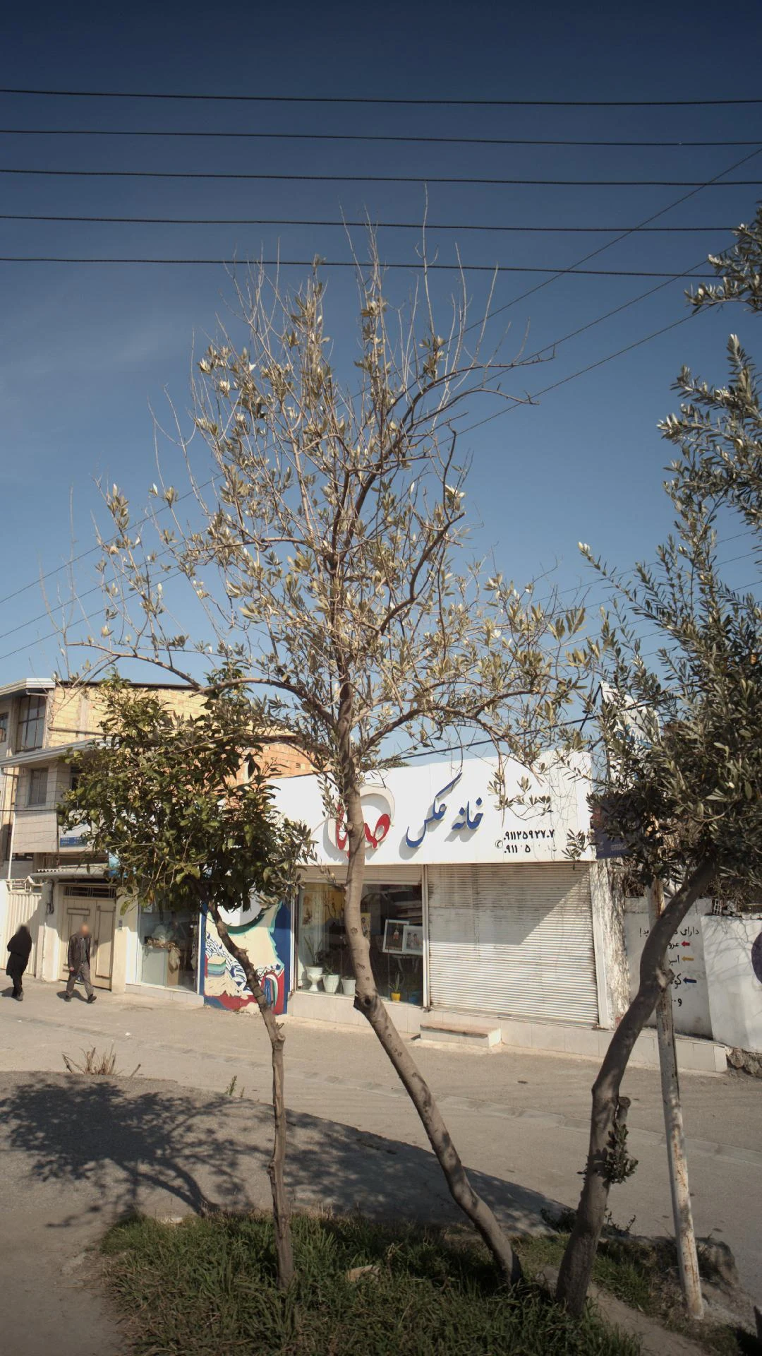 خانه عکس صبا