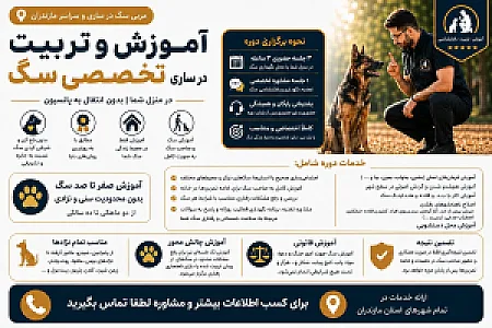 مربی سگ در ساری، تربیت سگ در مازندران