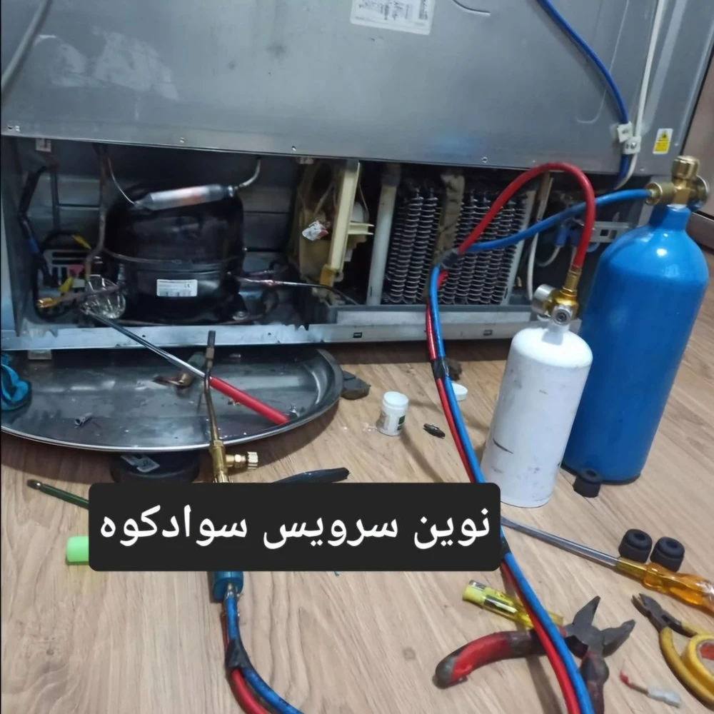 معین برنا