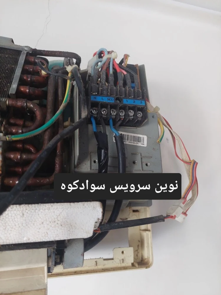 معین برنا - تصویر 4