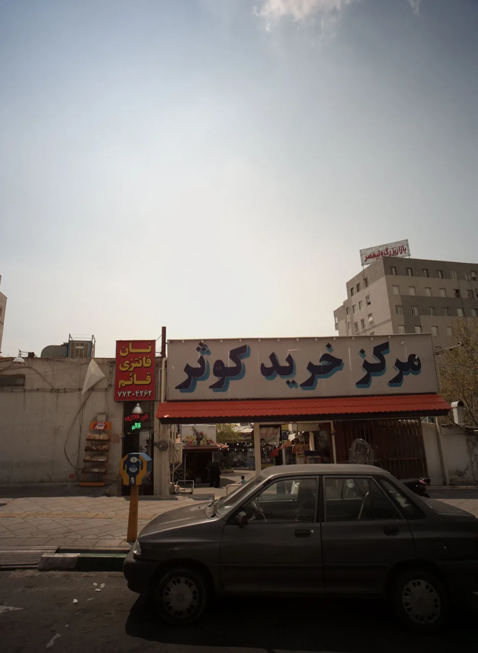 نان فانتزی قائم