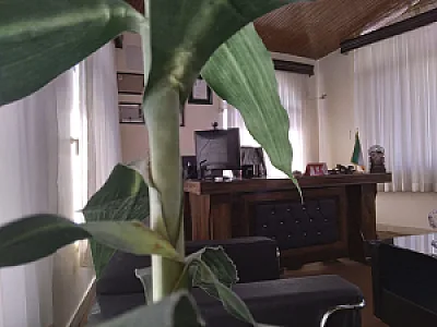 کانون آگهی و تبلیغات باور فیلم
