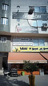 استودسو وینه