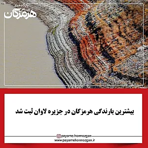 پایگاه خبری پیام هرمزگان