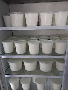 لبنیات محلی دامک