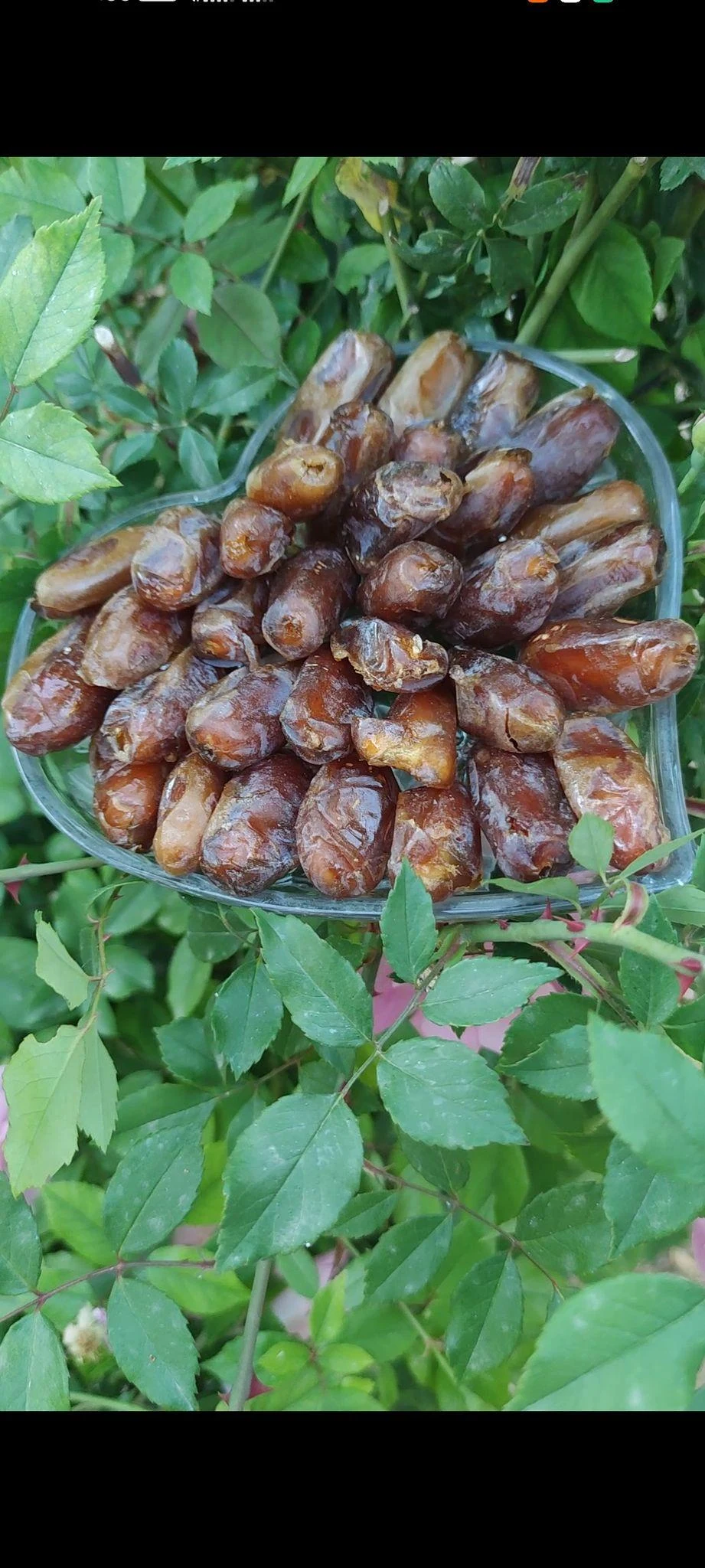 شرکت بازرگانی ویستا تجارت - تصویر 2
