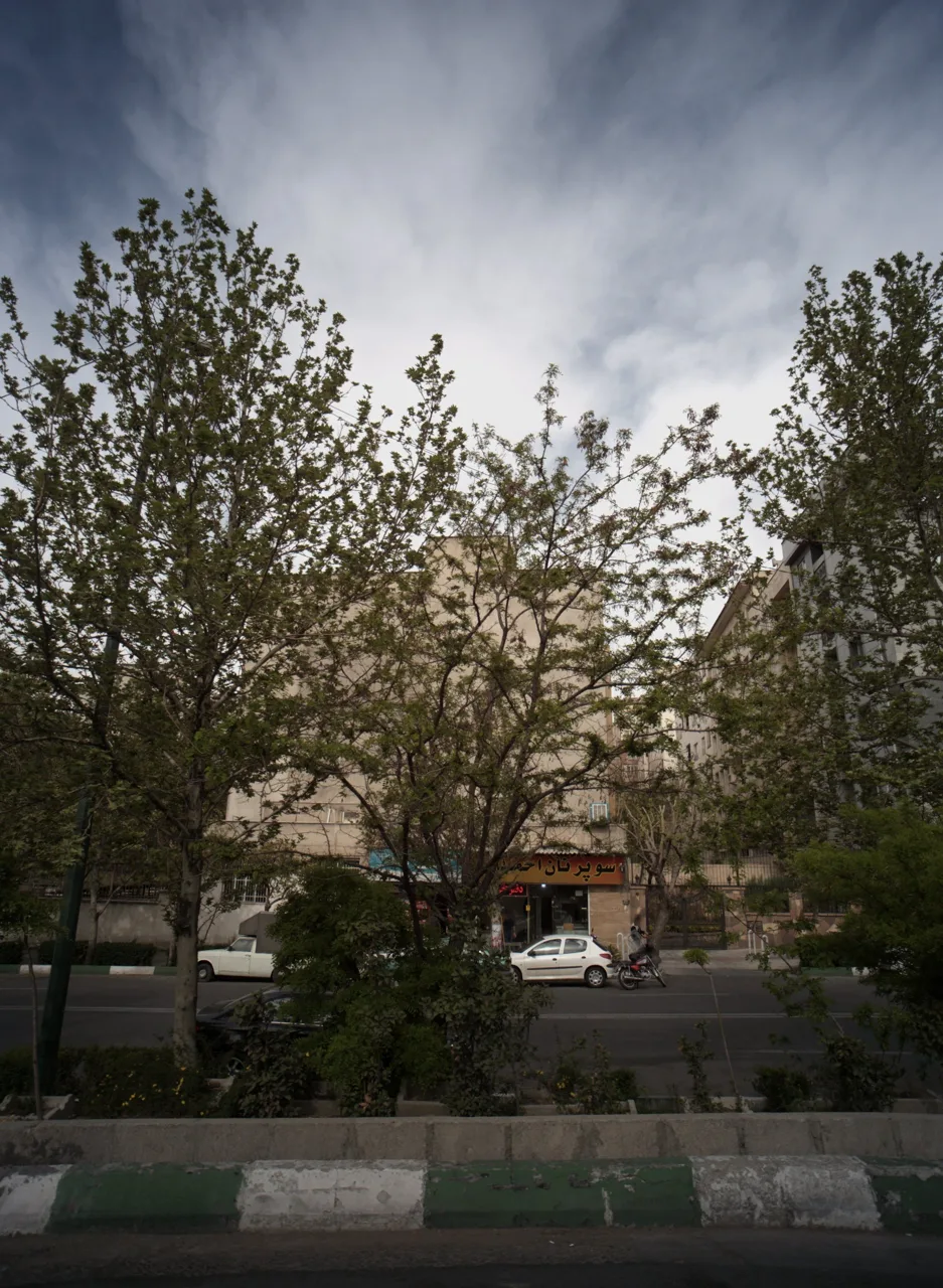 سوپر نان احمدی - تصویر 2