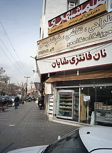 نان فانتزی شایان