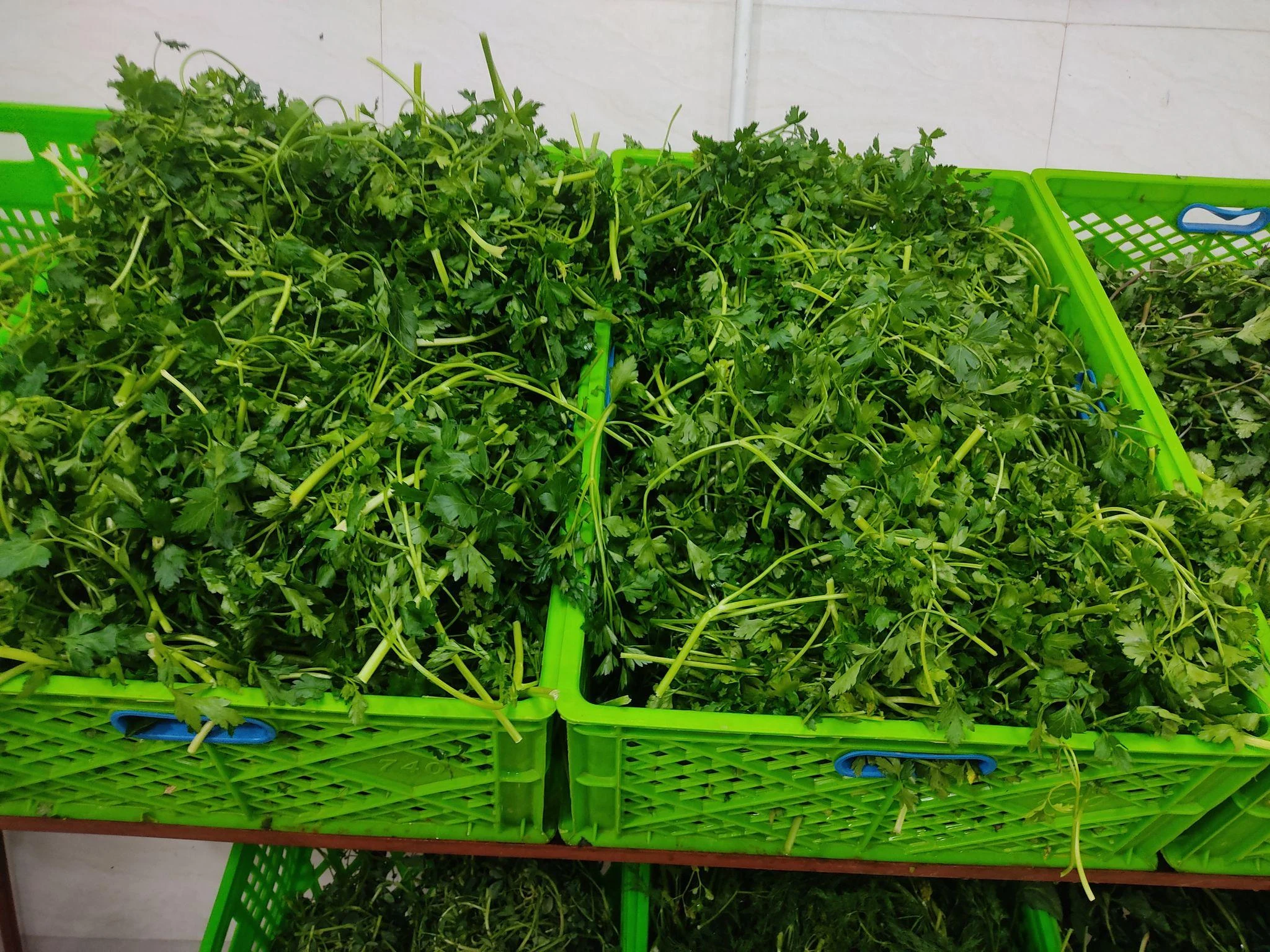 سبزی سرای میزبان2 - تصویر 2