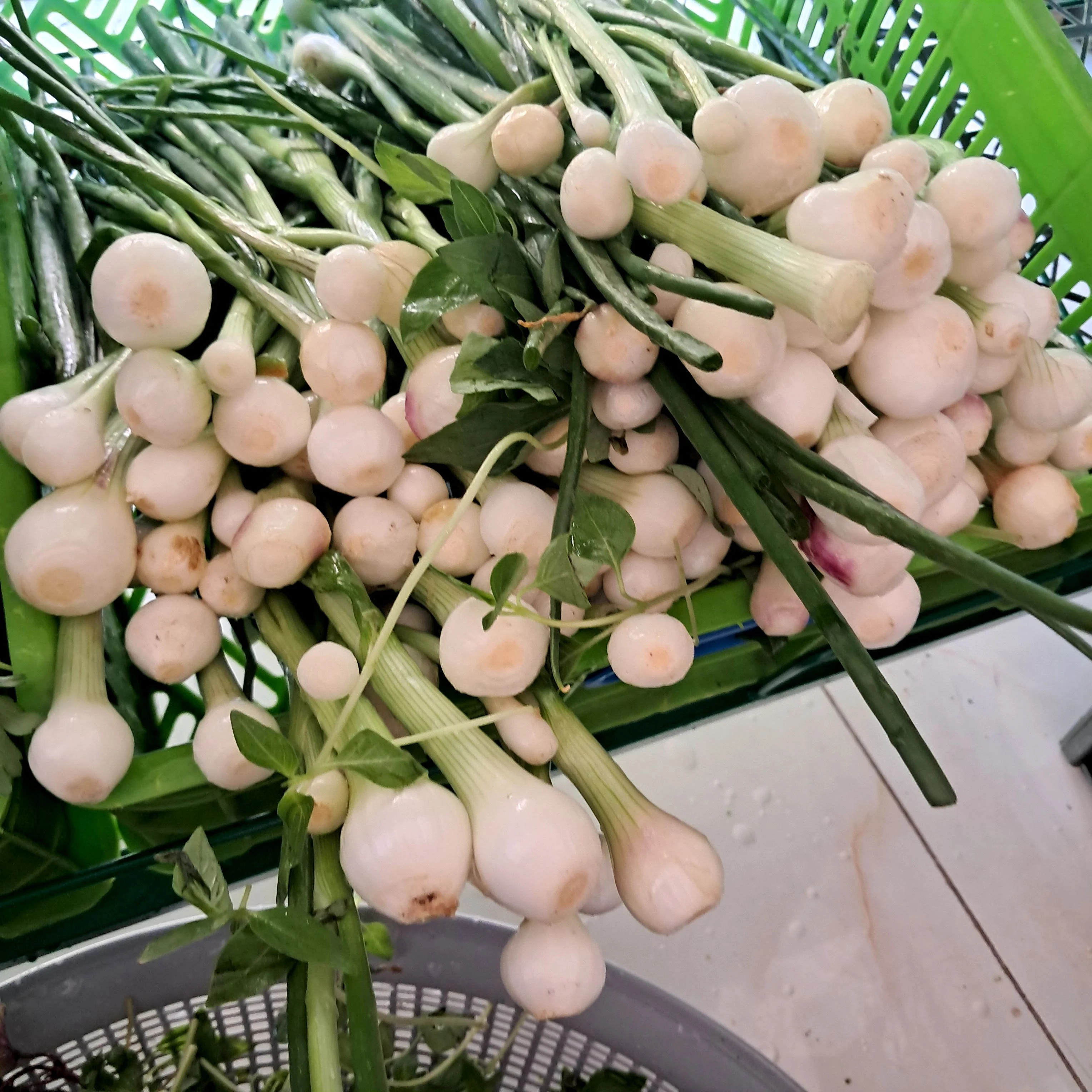 سبزی مارکت مامانپز - تصویر 3