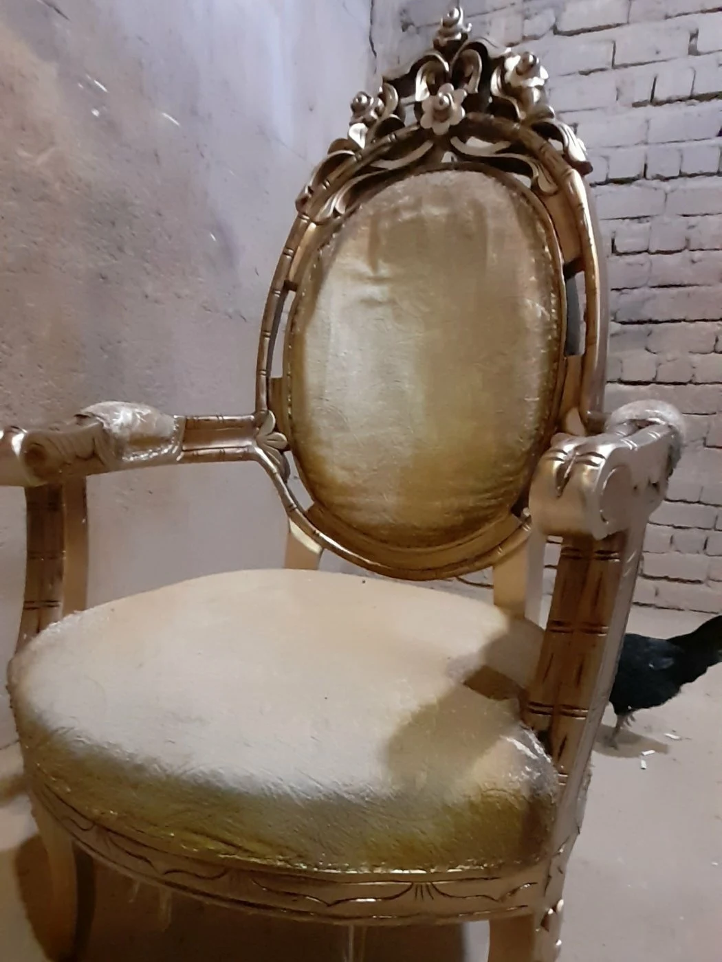 مهدی شبانی