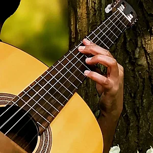آموزش گیتار