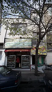 نان فانتزی شریعتی