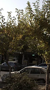 نان سنگک