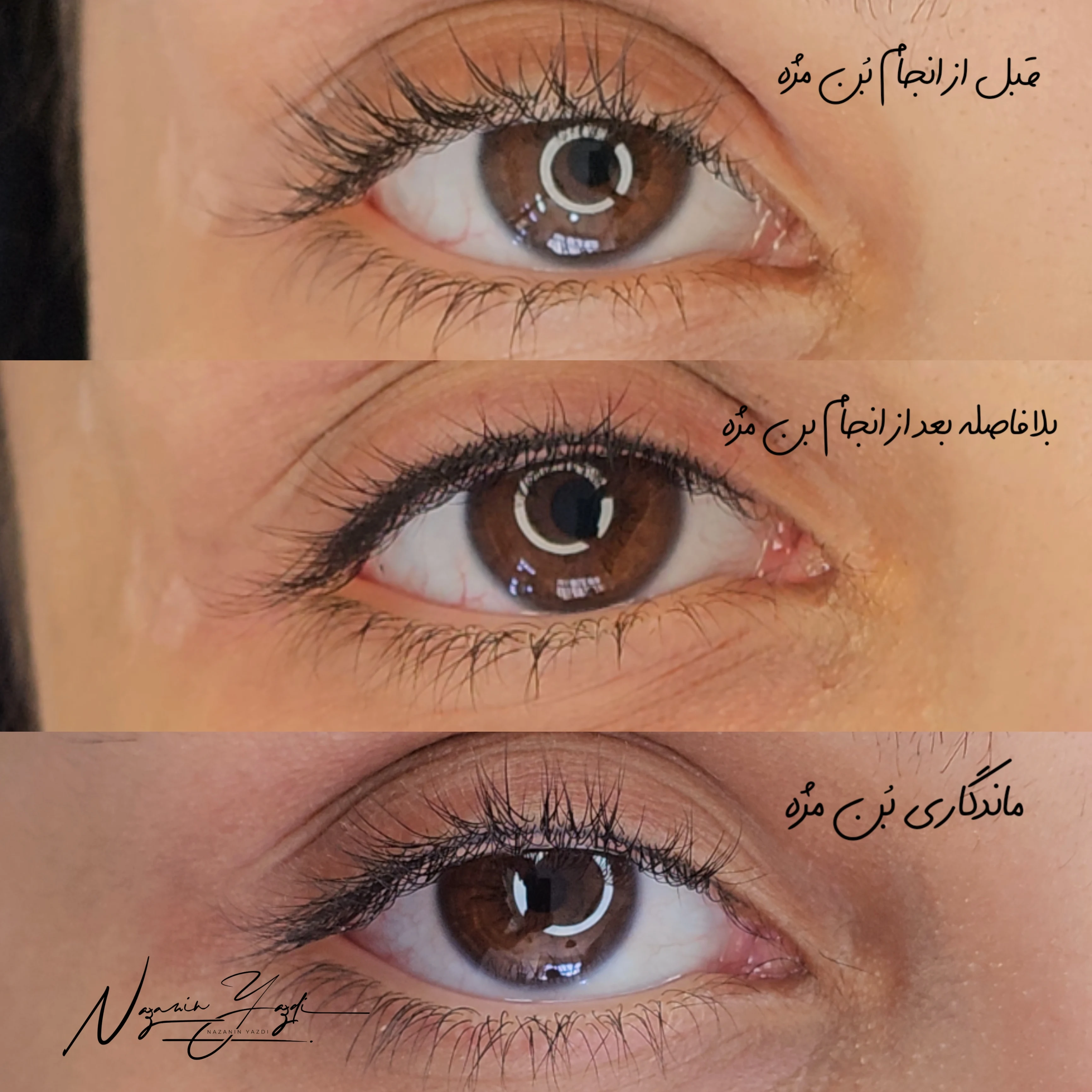 خدمات تخصصی میکروبلیدینگ نازنین یزدی - تصویر 5