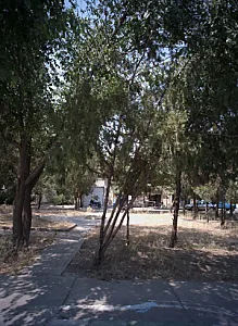 نان لواش چیچک