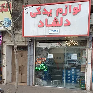 دلشاد یدک
