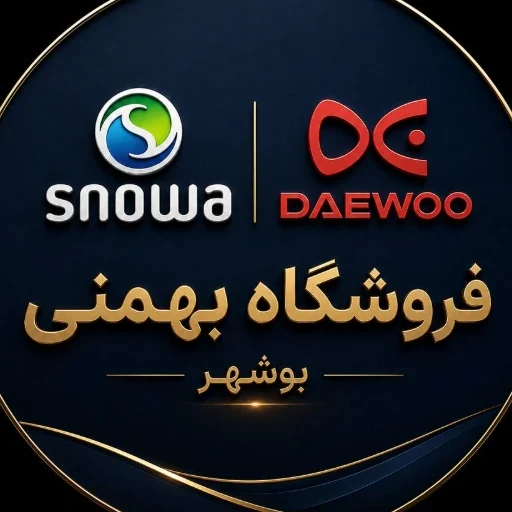 لوگوی اسنوا دوو بهمنی