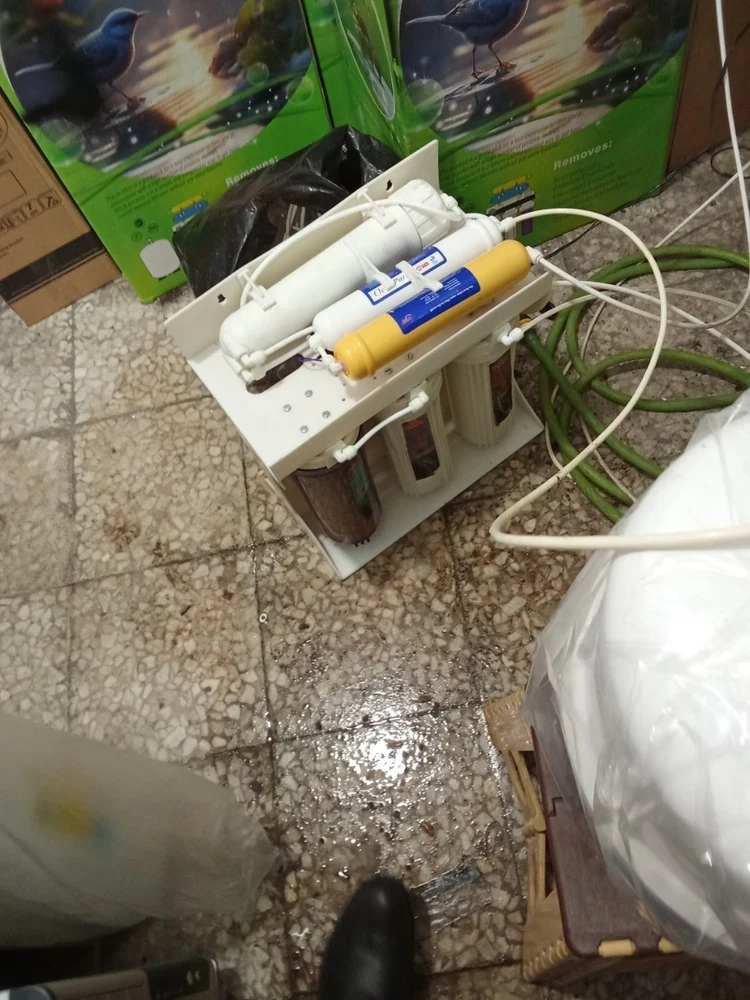 رامین اسکندریه