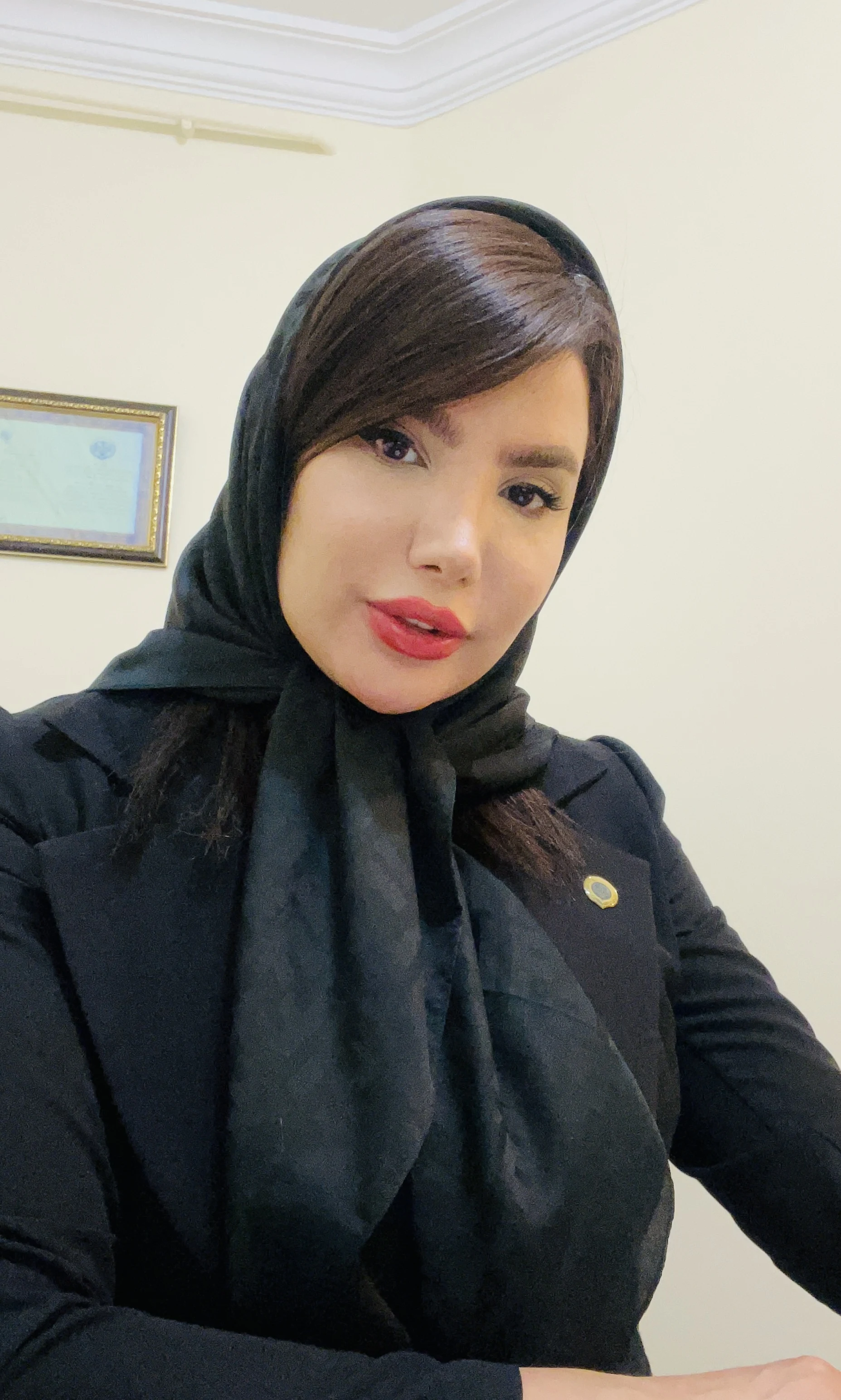 وکیل پایه یک دادگستری مژده سن شناس - تصویر 2