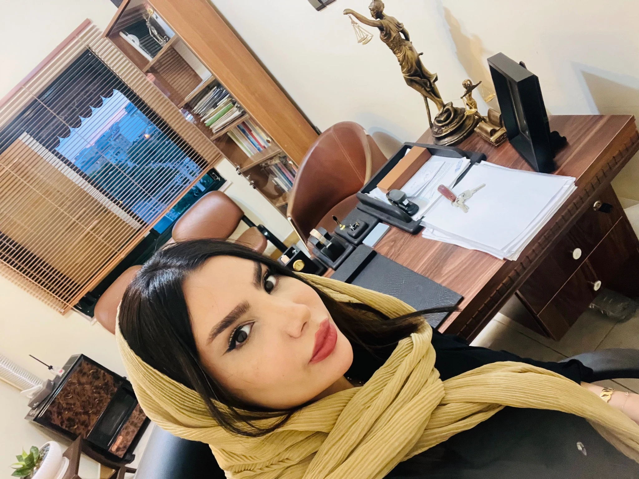 وکیل پایه یک دادگستری مژده سن شناس - تصویر 3