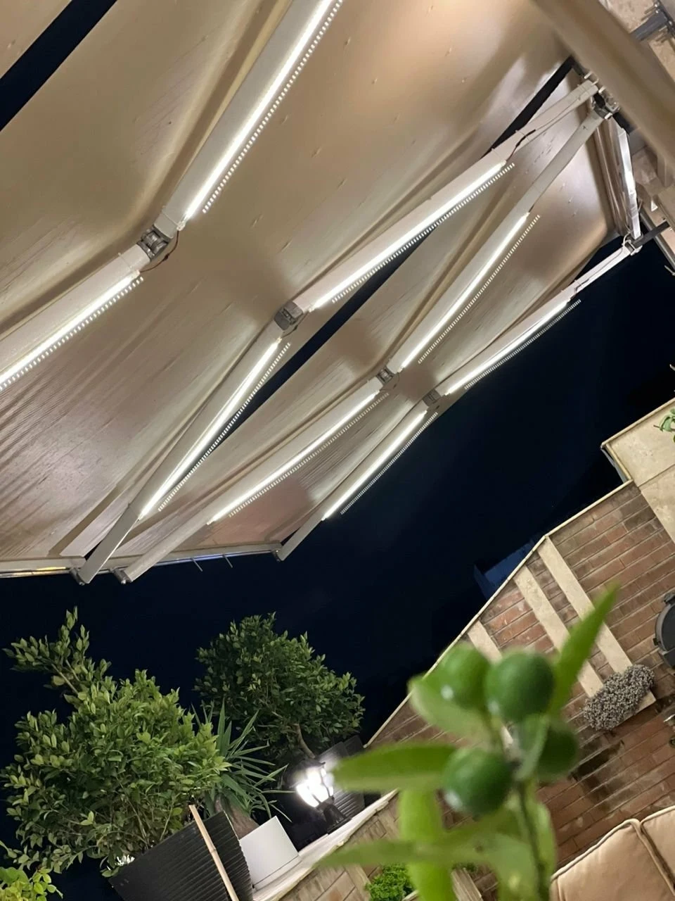 برقکار ساختمان علیرضا صاعد